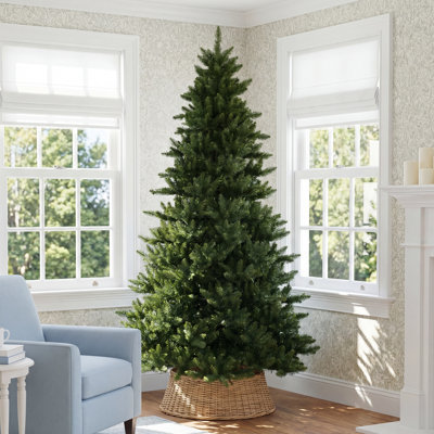 Sapin de Noël