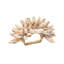 Shell Fringe Napkin Ring in Ivory/Brown