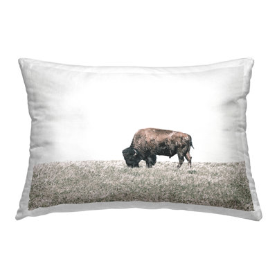 Coussin décoratif