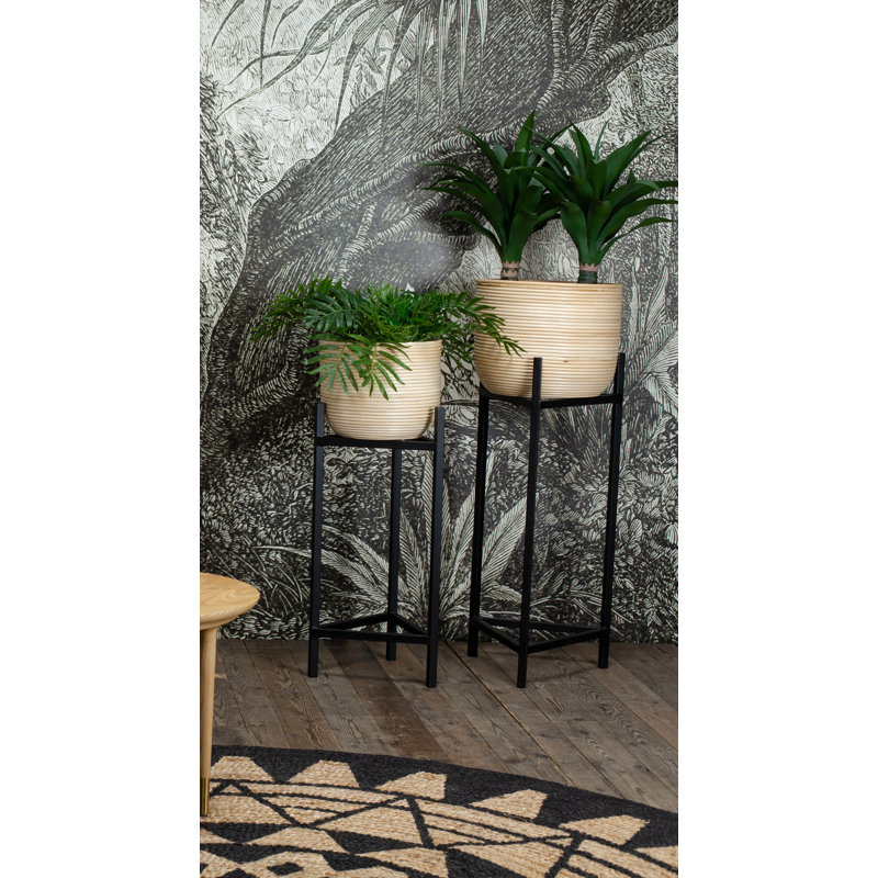 54cm Yucca Plant in Planter