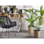 124cm Faux Palm Plant in Planter