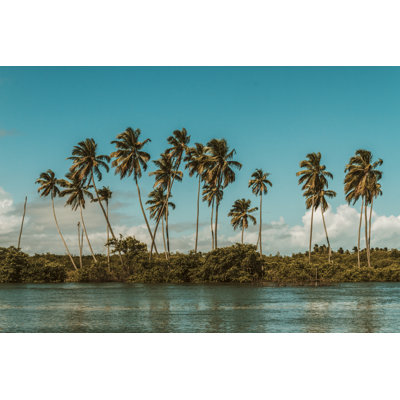 Brazilian Vibes by Walmor Santos - Wrapped Canvas Print