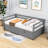Demoraes Twin Size Wood Daybed with Trundle-1941296451