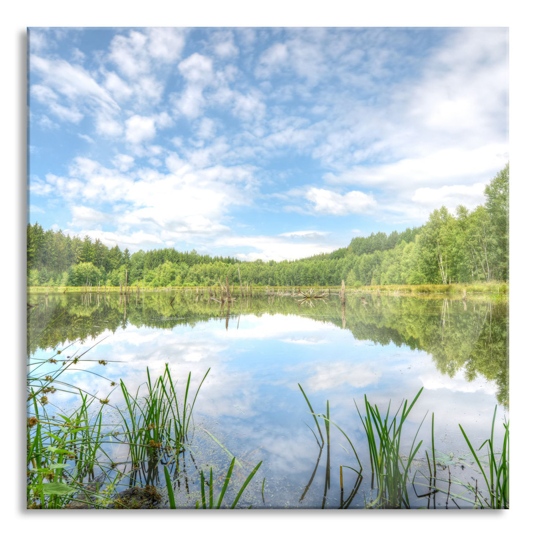 Glasbild Waldsee Nachmittagstraum