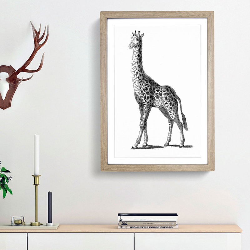 Giraffe in Black & White by George Shaw - Framed Print, Oak Framed, 36cm H x 27cm W x 2cm D