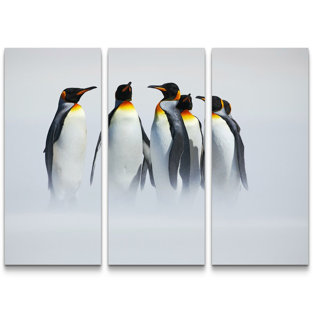 3-tlg. Leinwandbilder-Set Pinguin Gruppe