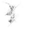 Nacre argent poli-103830444