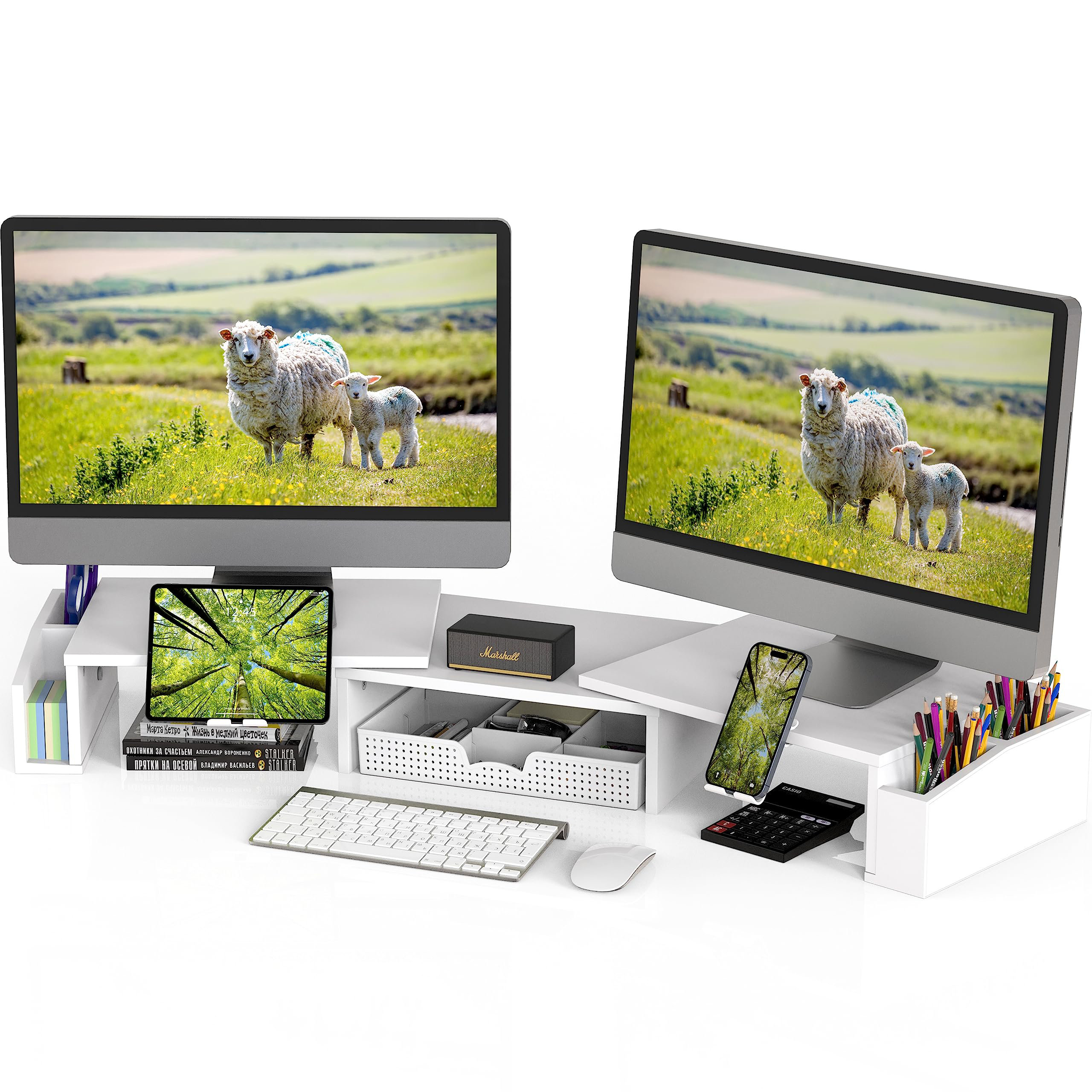 Hokku Designs Desk Dual Monitor Stand Riser With Drawer - Wayfair Canada