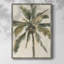 «Antique Watercolor Palm Study I», reproduction encadrée - bois massif-731033498