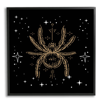 Starry Halloween Spider Insect by Lil' Rue - Graphic Art on Canvas