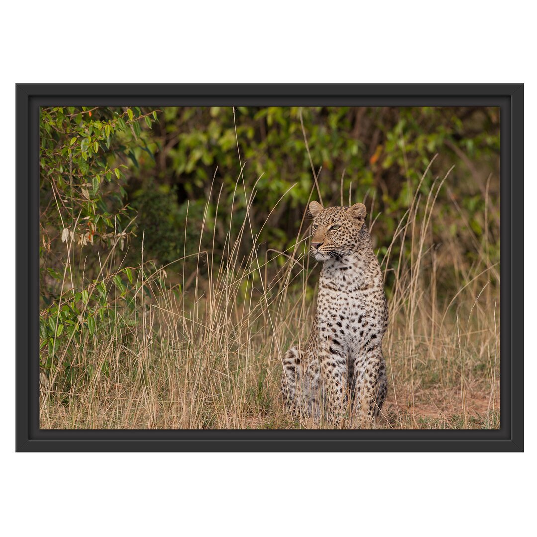 Gerahmtes Wandbild anmutiger Leopardhohen Gras