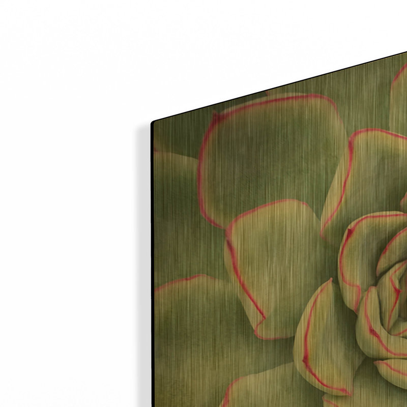 «Edged in Red» par Jan Bell, art mural en métal doré, 24 po x 24 po, 24 po x 24 po