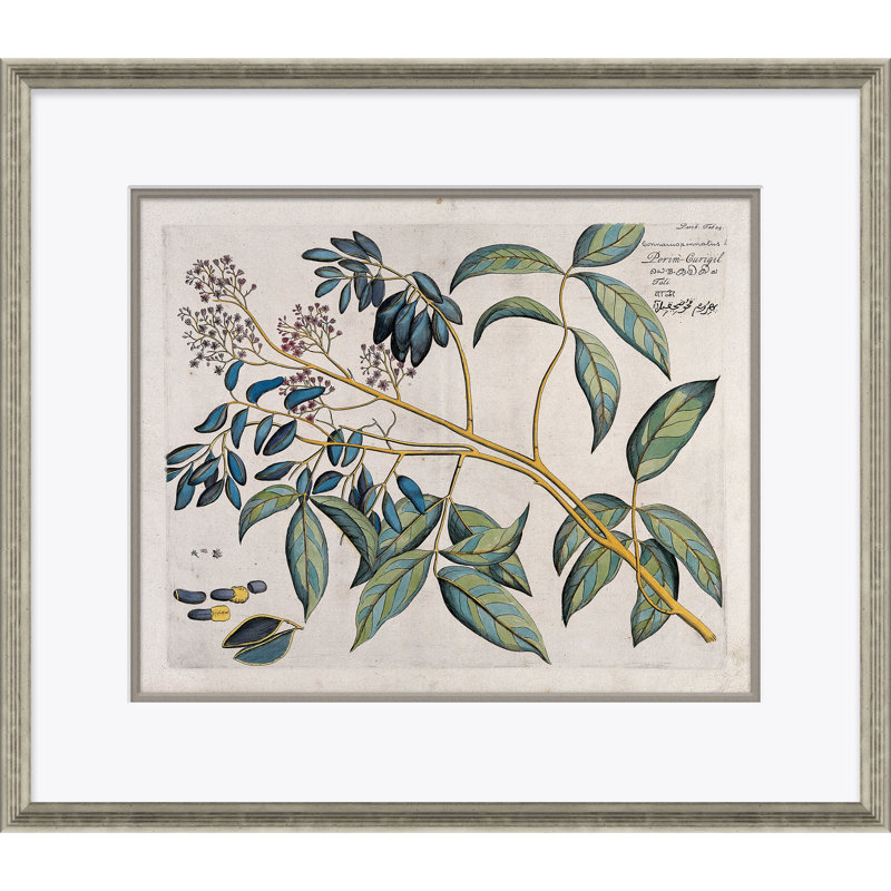 Malaberica (Colored) Framed Watercolour Painting Print by Paul Cezanne
