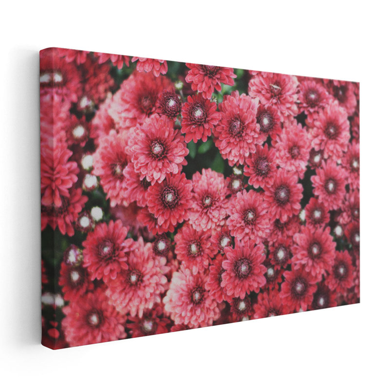 Fleurs d'automne I - reproduction d'art sur toile, H 20 po x l 30 po