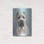 "Cane Corso 2" par Barbara Keith-869612634