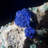 Azurite and Cerussite with Malachite Miniature - Bou Beker Mine, Morocco