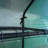 Greenhouse-98284342-98284341