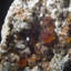 Spessartine. Mine Wushan Spessartine, Chine
