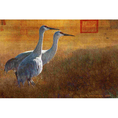 Grues de marche