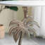 Table d'appoint Modern Modern