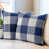 Blue Gingham