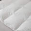 Couette en duvet d'oie toutes saisons 400TC 400 huttérite 850-26157476