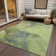 Machine Washable Indoor/Outdoor Xhevrie Green Rug