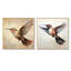 Ensemble de 2 reproductions d'art murales sur fond de colibri brun-102587830-102587827