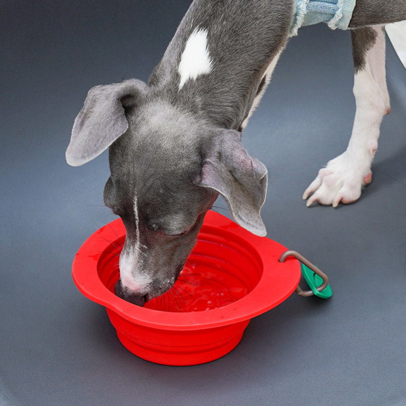 Bol pour chien pliable en silicone Zeze Red Apple