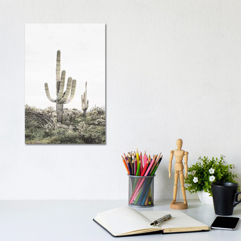 Blush Shy Cactus by Sisi & Seb - Wrapped Canvas Print, 30.48 cm H x 20.32 cm W x 1.91 cm D