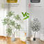 150cm Plant