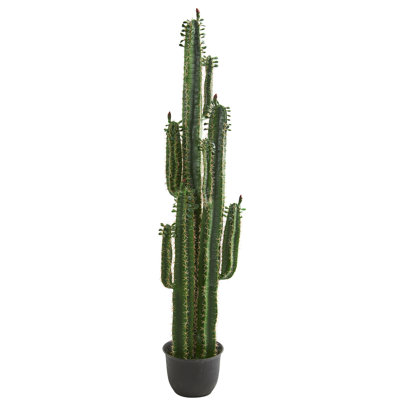 78 " H Faux Cactus Succulent in Plastic Pot