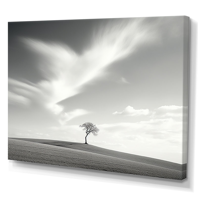 Black And White Solitude Tree In Meadow - Trees Canvas Print, Toile tendue, 24" H x 32" W x 1" D