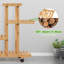 Brixlee Wood Plant Stand