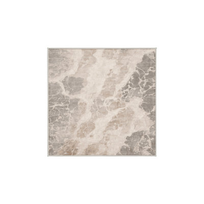 Machine Washable Beige Area Rug