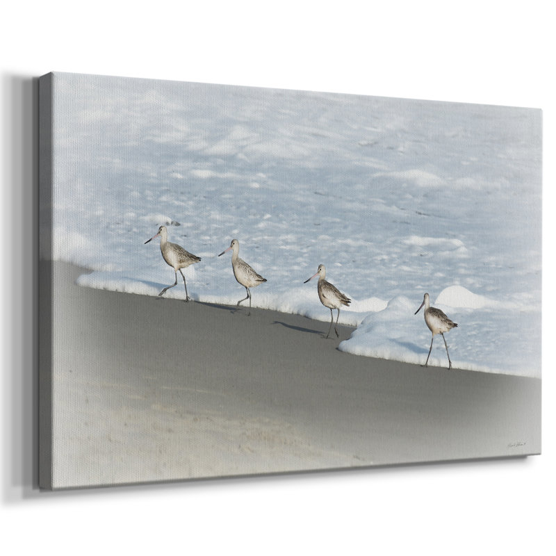 Sandpipers II -Gallery Enveloppé Cavas, 40 x 60