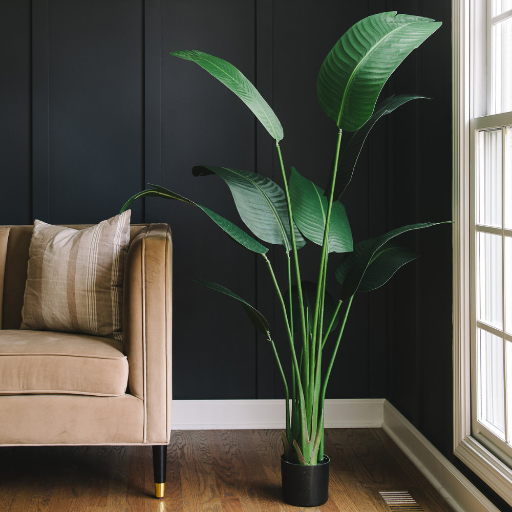 Banana Leaf Plant in Pot, 46.5" H x 25" W x 25" D, 1