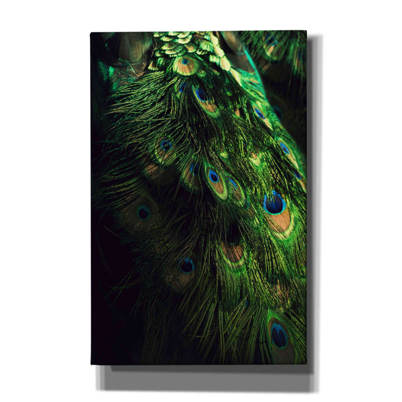 «Peacock Tail» par Incado, estampe numérique sur toile, L 26 po x H 40 po