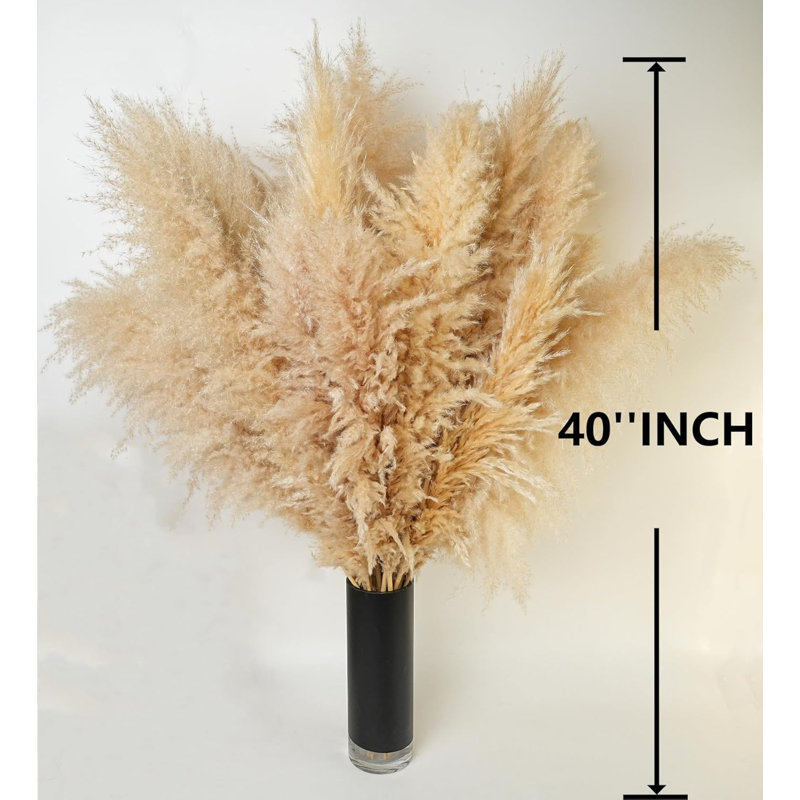 10 PCS Tall Pampas Grass Stems In Natural Beige, Add A Boho Touch To Your Spaceâ€”Pompas Grass Ideal For Floral Arrangements, Floor Vases, Weddings, And Creating A Bohemian Ambiance At Home.