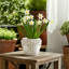 Boîte à fleurs Adeline-1817239598-1817239596