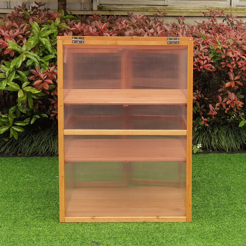 Hanover 43.3'' Clear Polycarbonate and Wood Mini Greenhouse