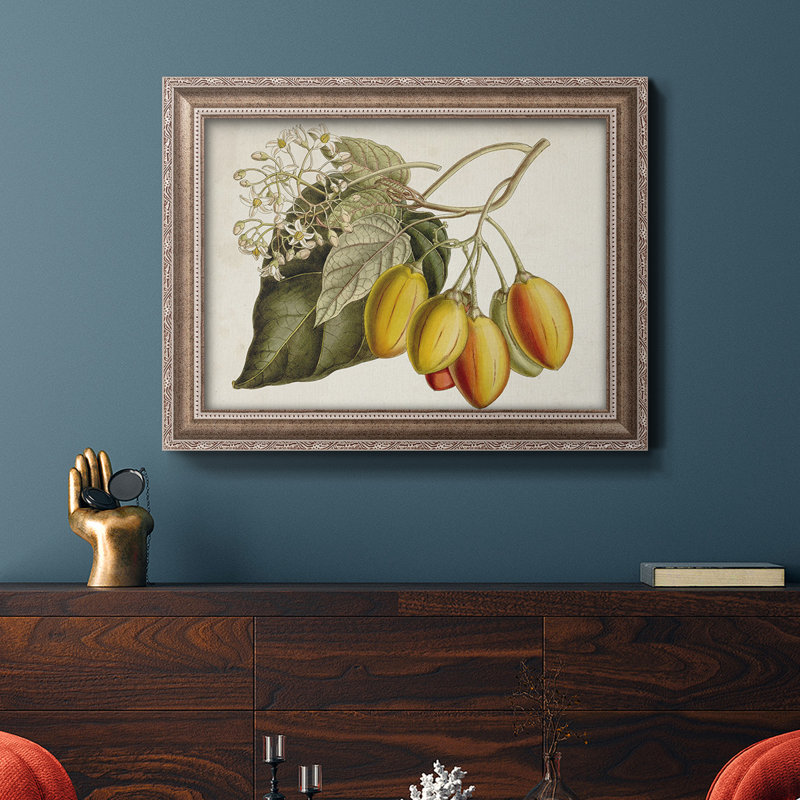 Impression sur toile, "Tropical foliage & fruit IV", H 16 po x l 20 po x P 2,5 po