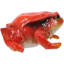 Figurine Amphibian Wild Creatures
