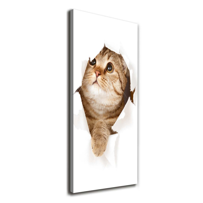Cat - Wrapped Canvas Print