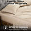 Ensemble de draps 300 fils en mélange de coton égyptien-1620519256-1648364106