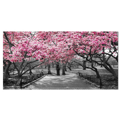 Paysage de cerisiers en fleurs - reproduction de photo sur toile