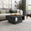 Caomhan Pedestal Coffee Table with Storage-1286931139