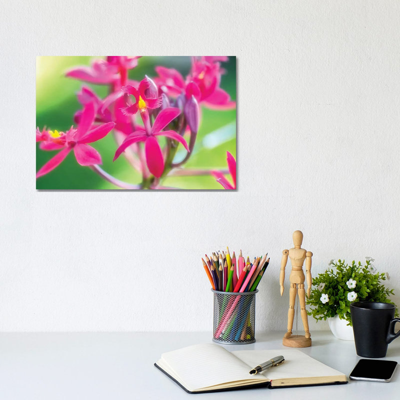 Pink Orchid Flower 1 Piece Wrapped Canvas Wall Art, 20.32cm H x 30.48cm W x 1.905cm D
