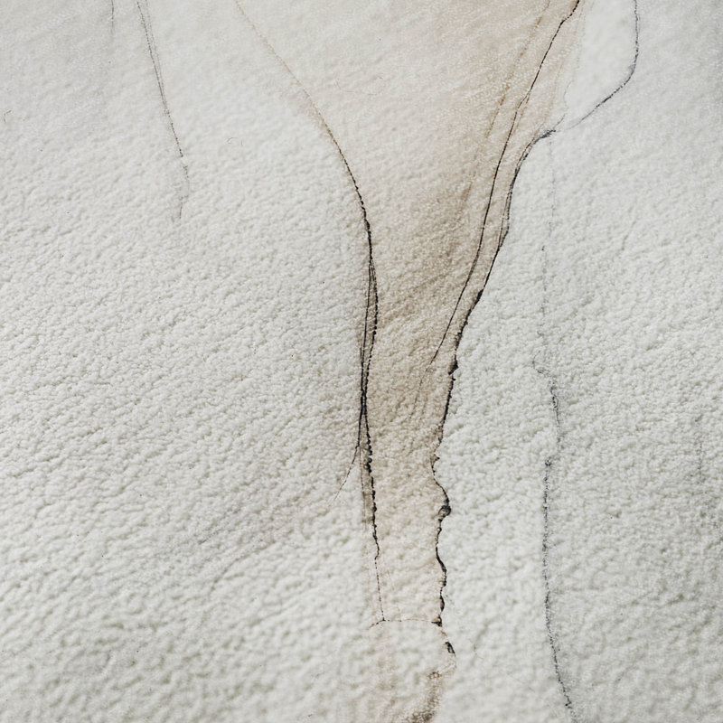 Premium Machine Washable Cerrito AMF515 Ivory Rug, Rectangle 8' x 10'