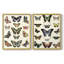Impression encadrée Flutterbys I-Premium - prête à être accrochée - aucun clou requis - aucun clou requis-1140425536-1140425538
